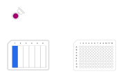 2-Fold Serial Dilution by Column - thumbnail