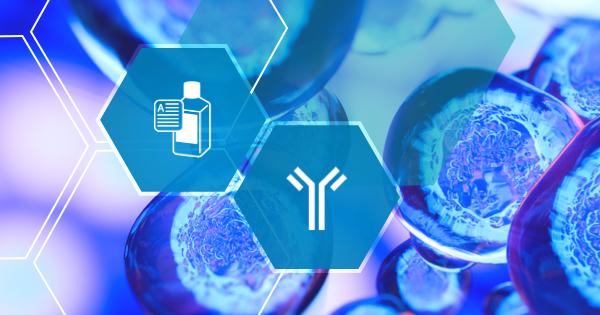 Protocol illustration image